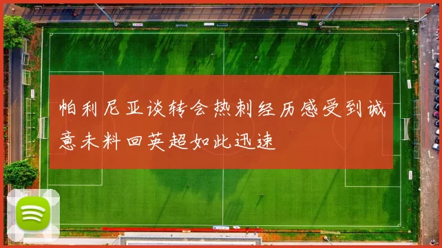 帕利尼亚谈转会热刺经历感受到诚意未料回英超如此迅速
